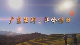 陆河新闻爆料事件最新进展,最新进展揭示惊人内幕  第3张